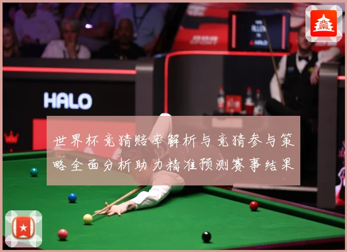 世界杯竞猜赔率解析与竞猜参与策略全面分析助力精准预测赛事结果数据研判